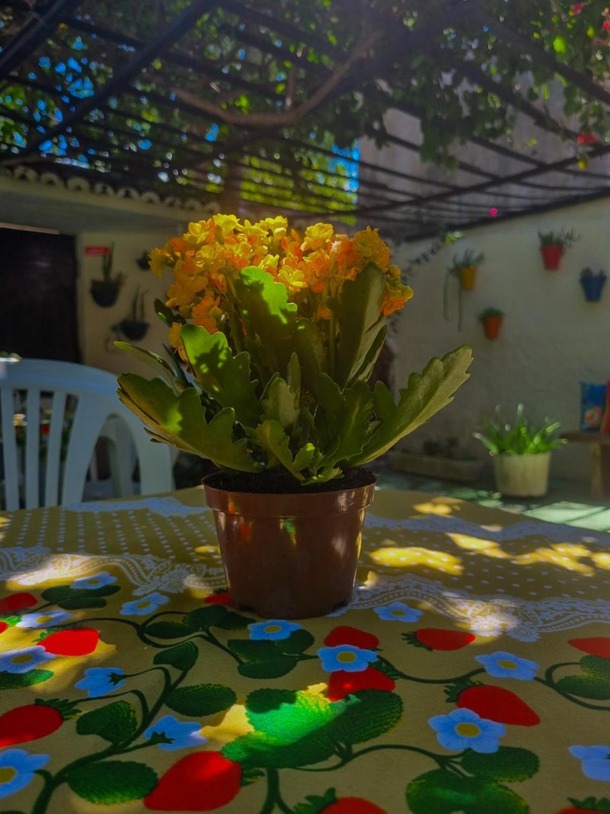 Pousada Residencial Pôrto das Galinhas Zewnętrze zdjęcie